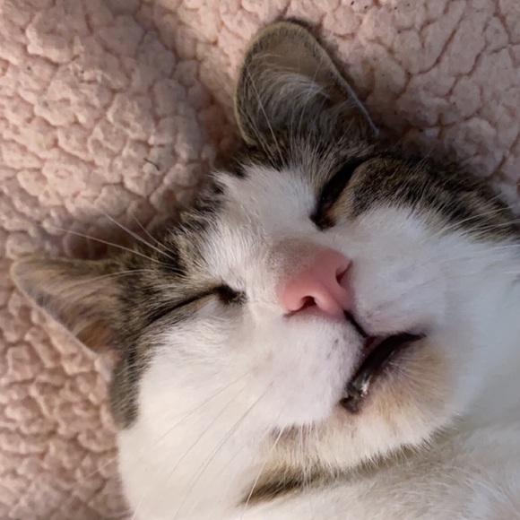 Meet your Posher, Alexis <3 - Picture 14 of 14